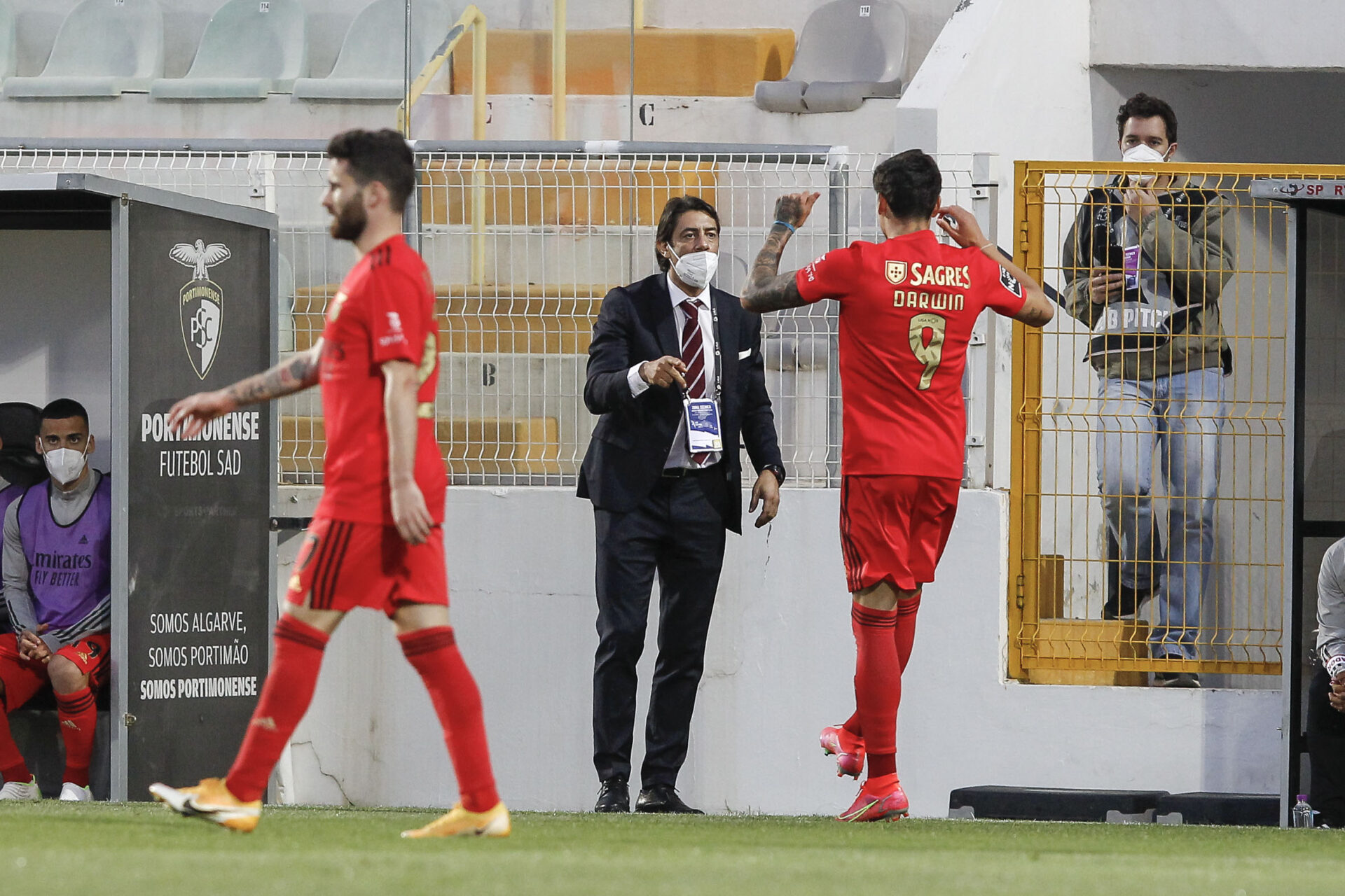 Darwin revolucionou o jogo do SL Bnfica