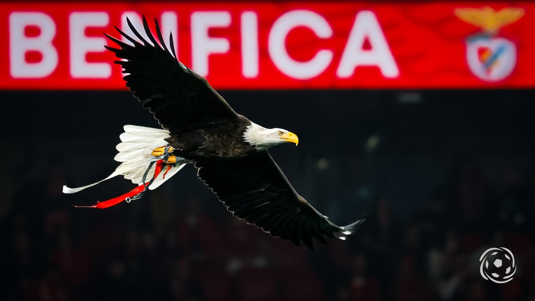 Benfica Águia Vitória