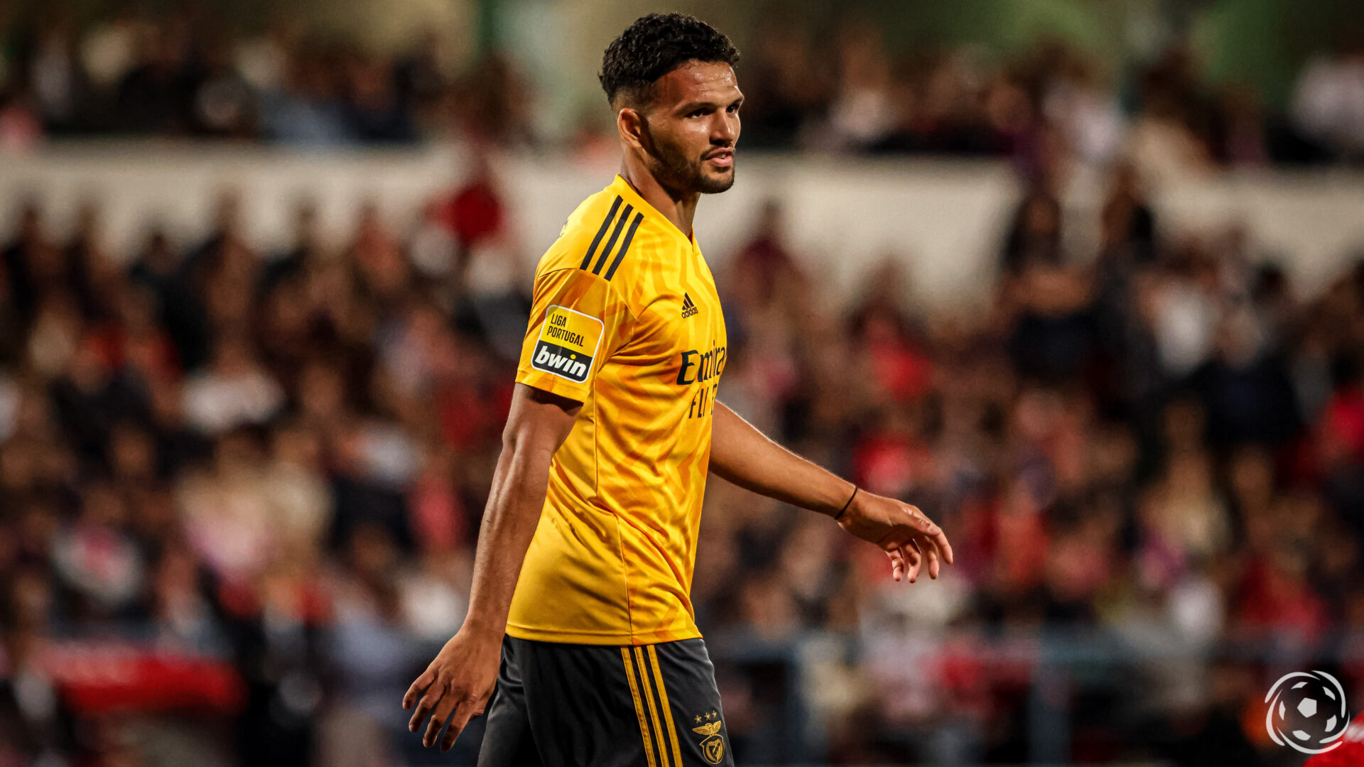 Gonçalo Ramos SL Benfica