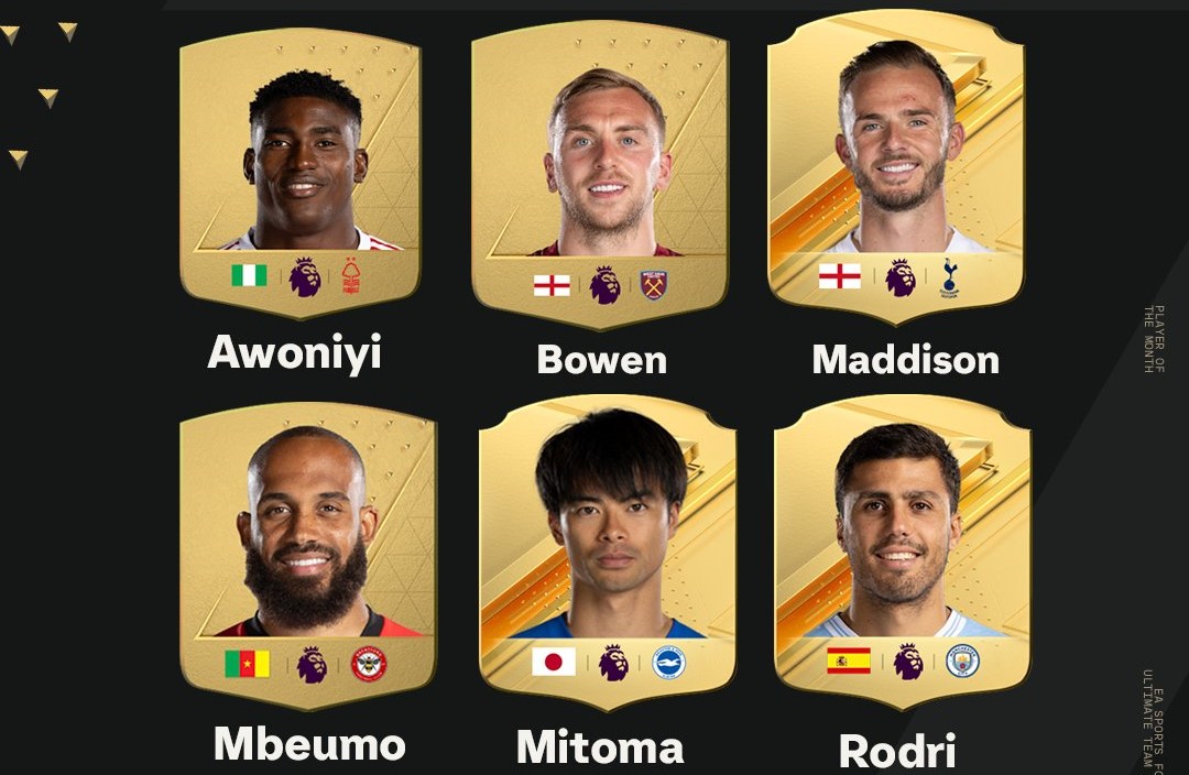 Premier League jogadores do mês