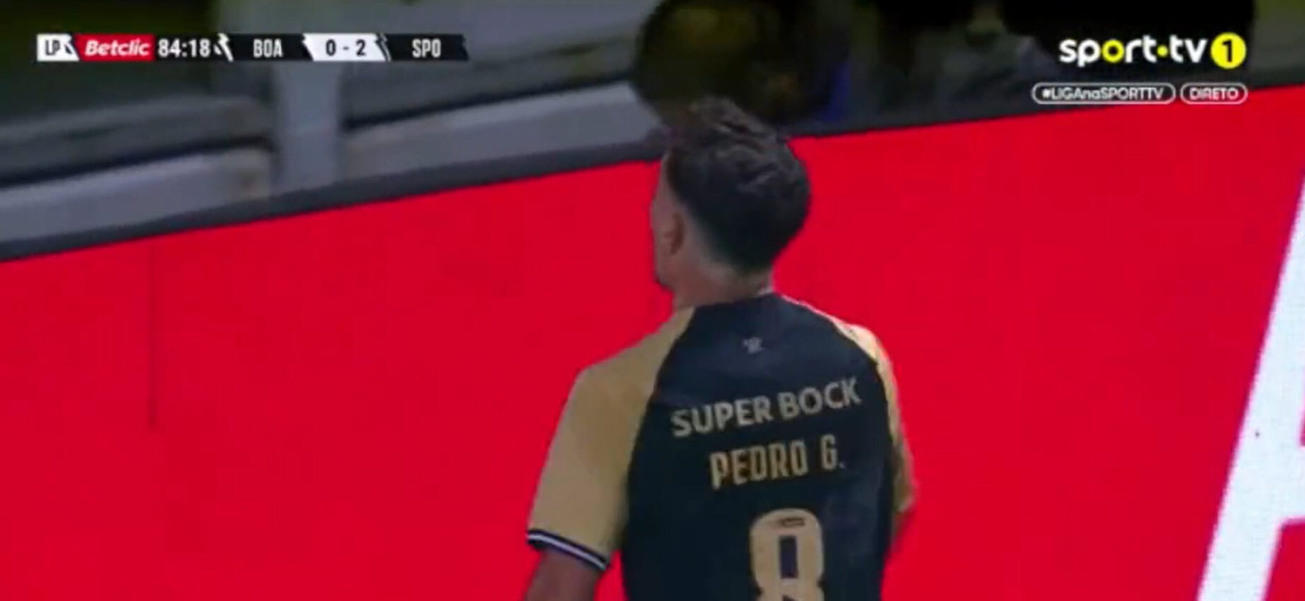 Pedro Gonçalves