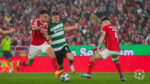 Sporting Benfica Taça de Portugal