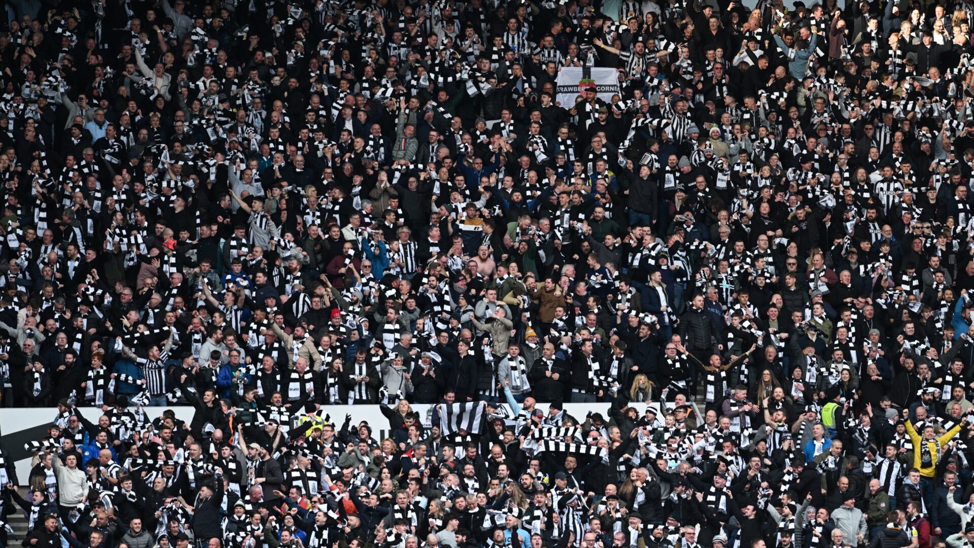 Newcastle Adeptos