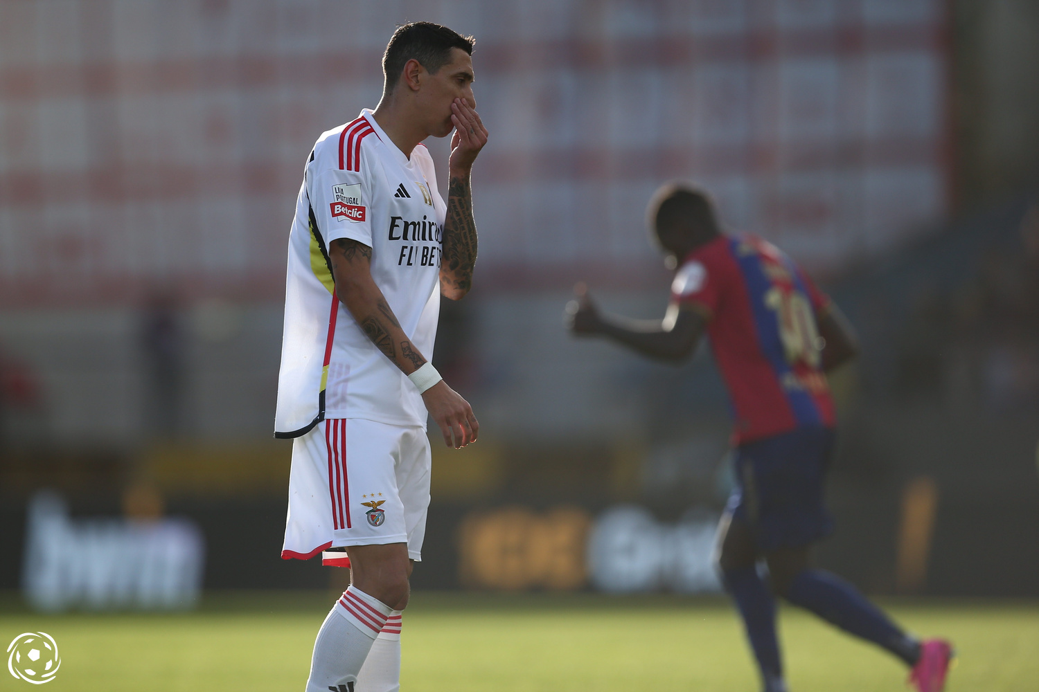 Ángel Di María no Chaves x Benfica