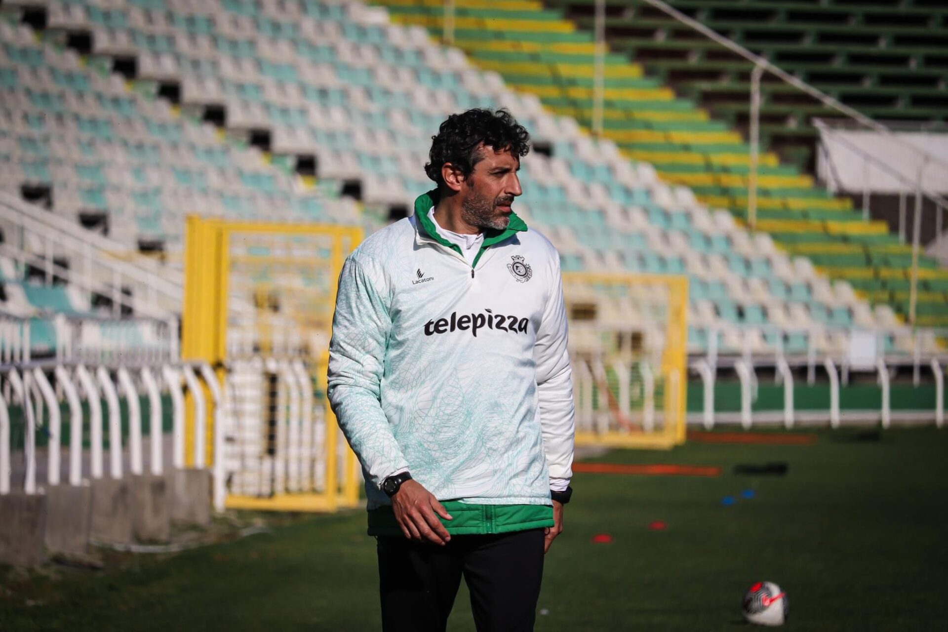 Zé Pedro