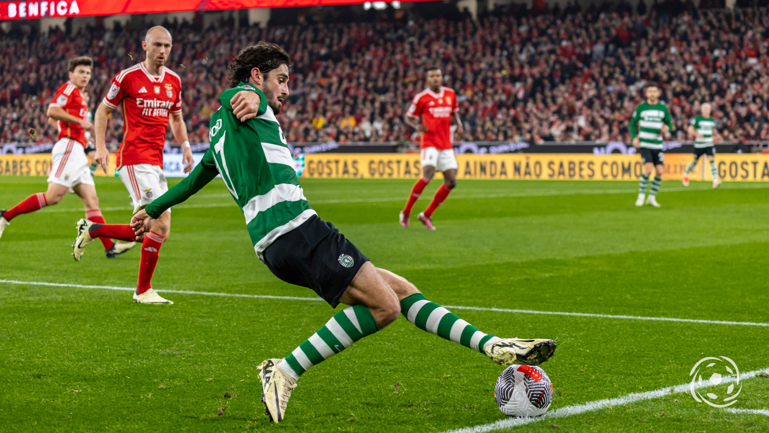 Benfica x Sporting