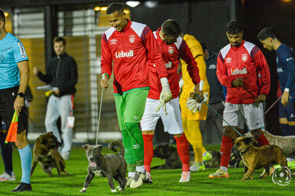 Santa Clara x Gil Vicente