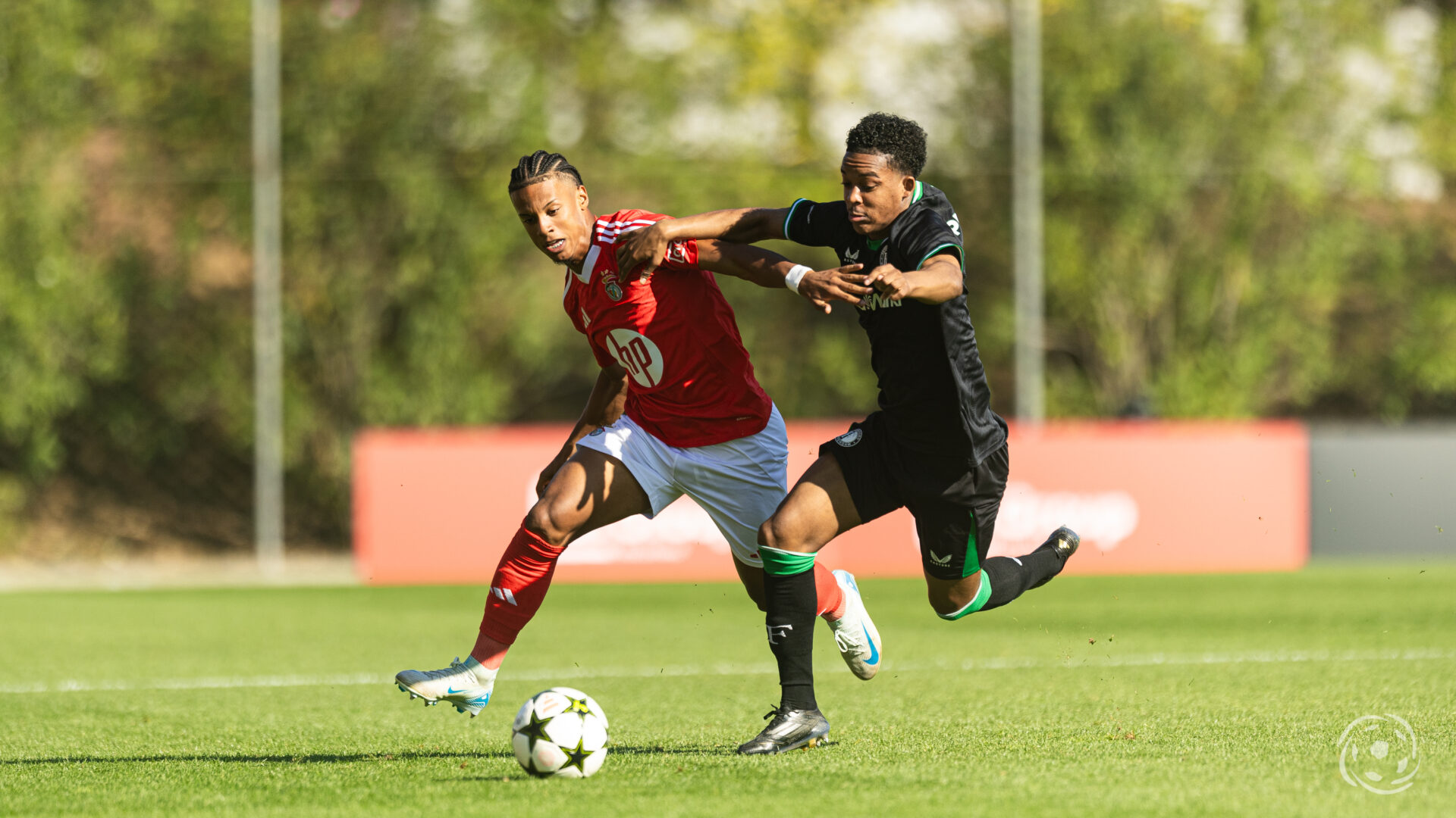 Benfica x Feynenoord