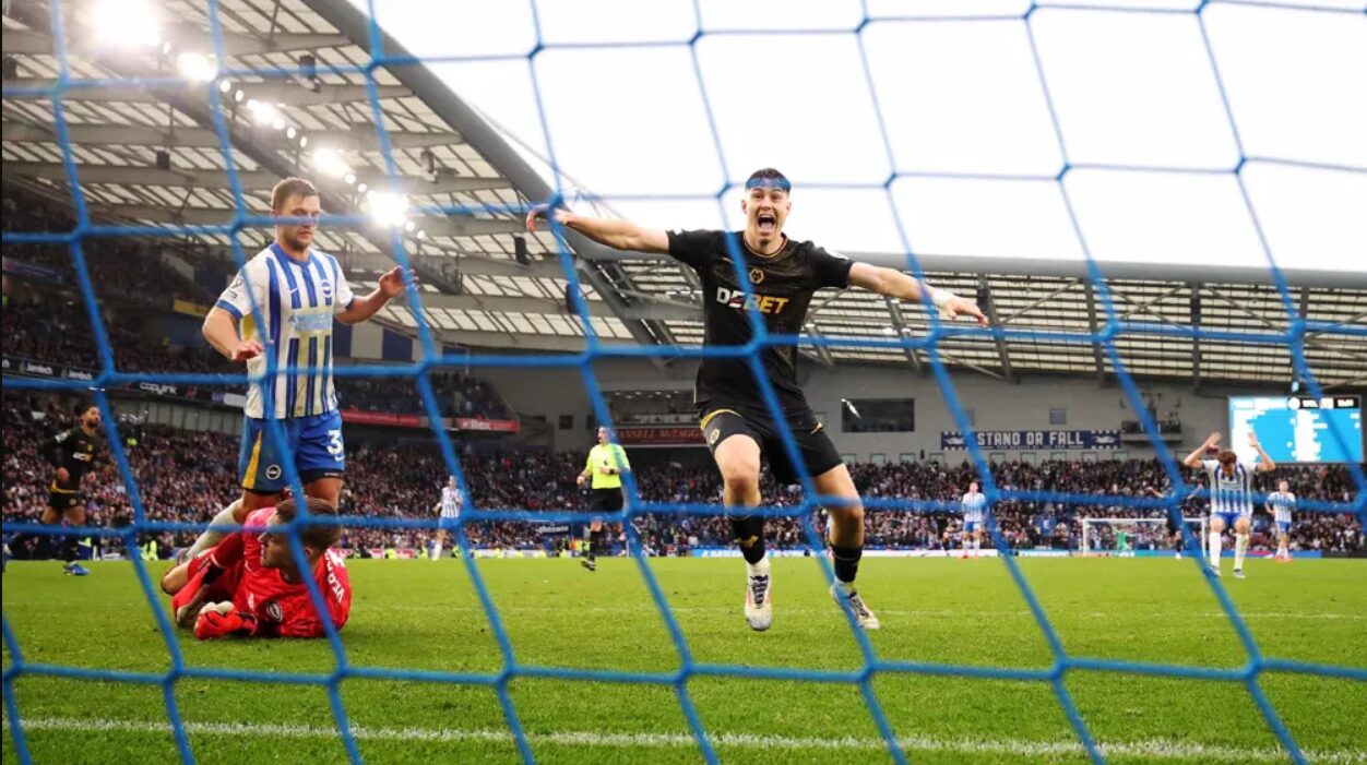 Wolverhampton x Brighton