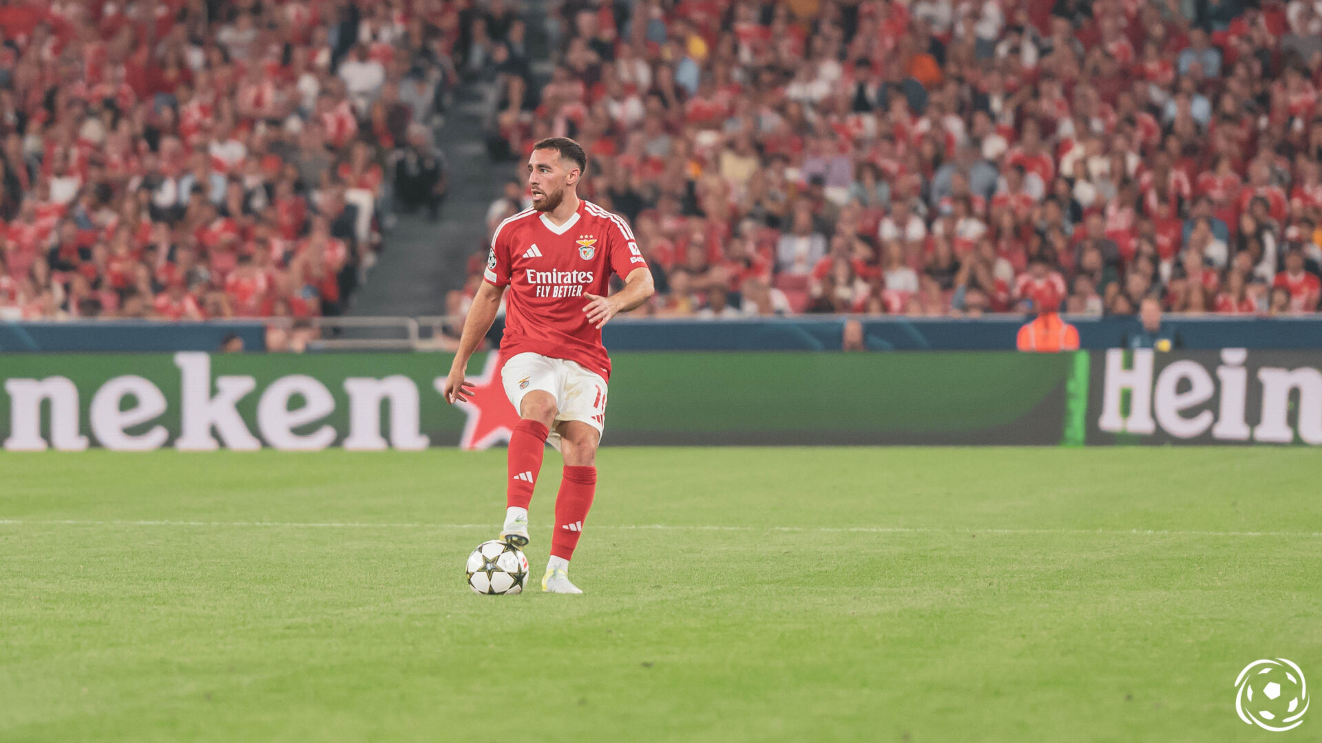 Orkun Kokçu Benfica