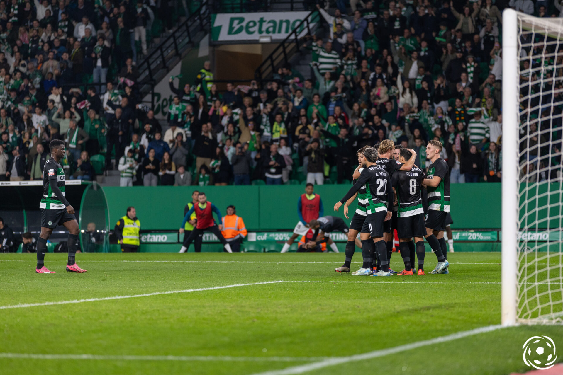 Sporting jogadores