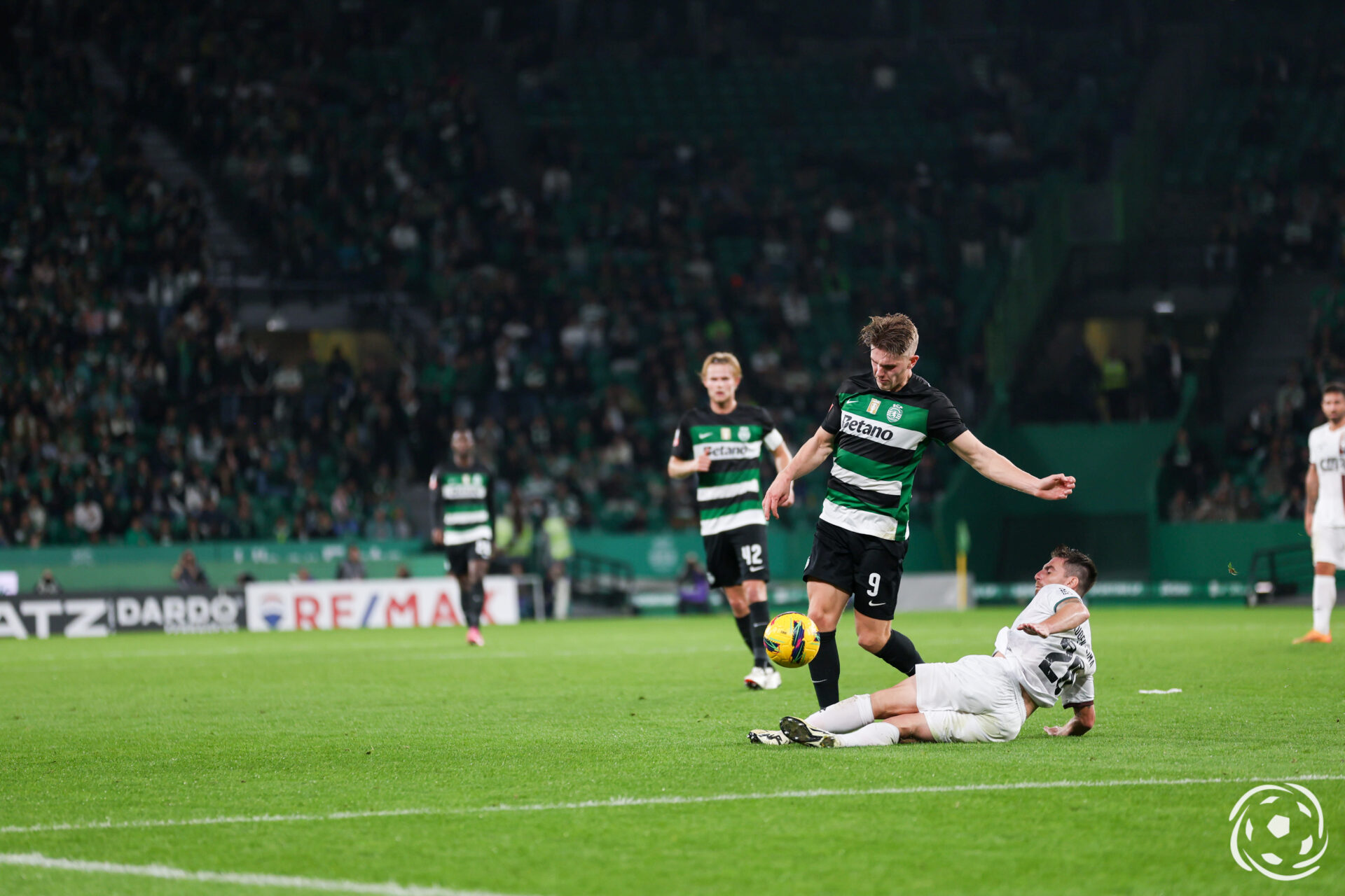 Viktor Gyokeres Sporting