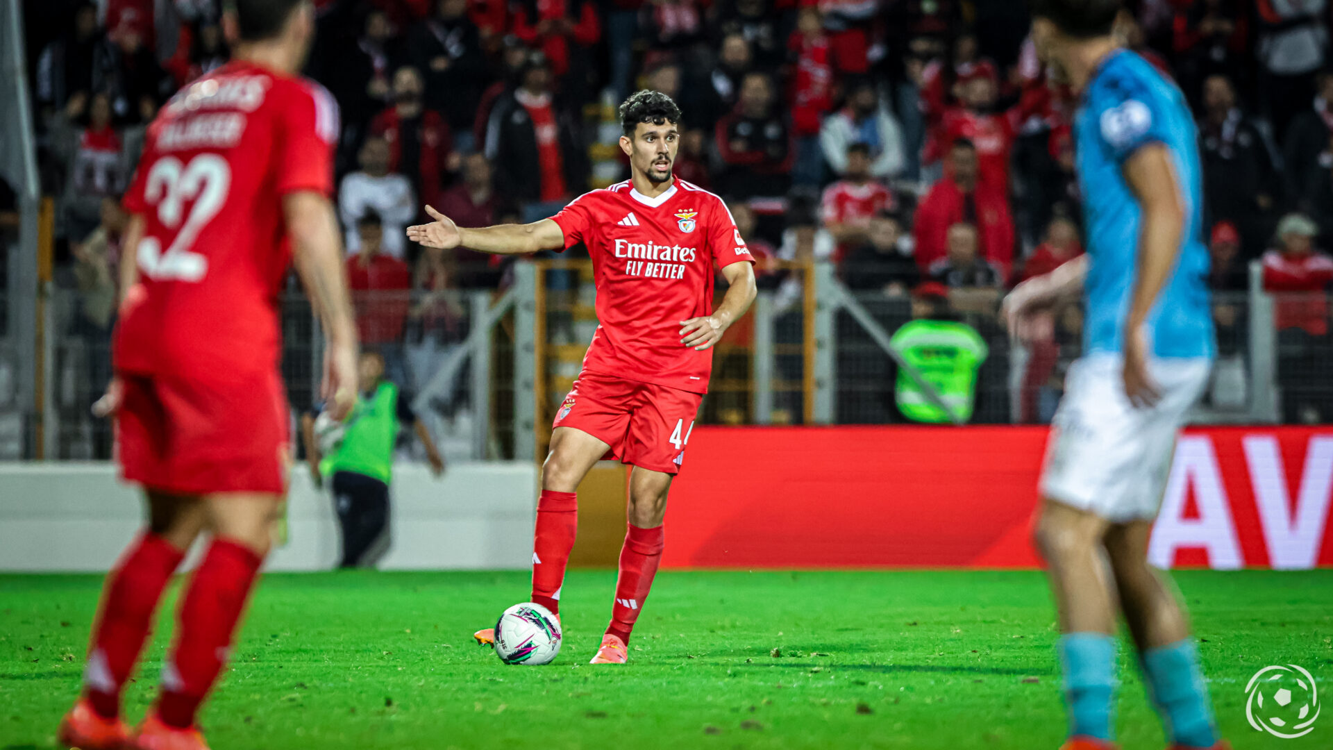 Tomás Araújo