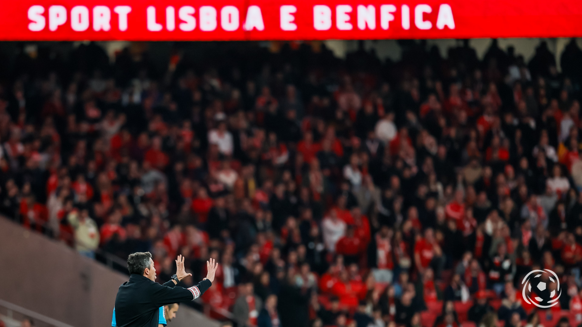 Bruno Lage Benfica