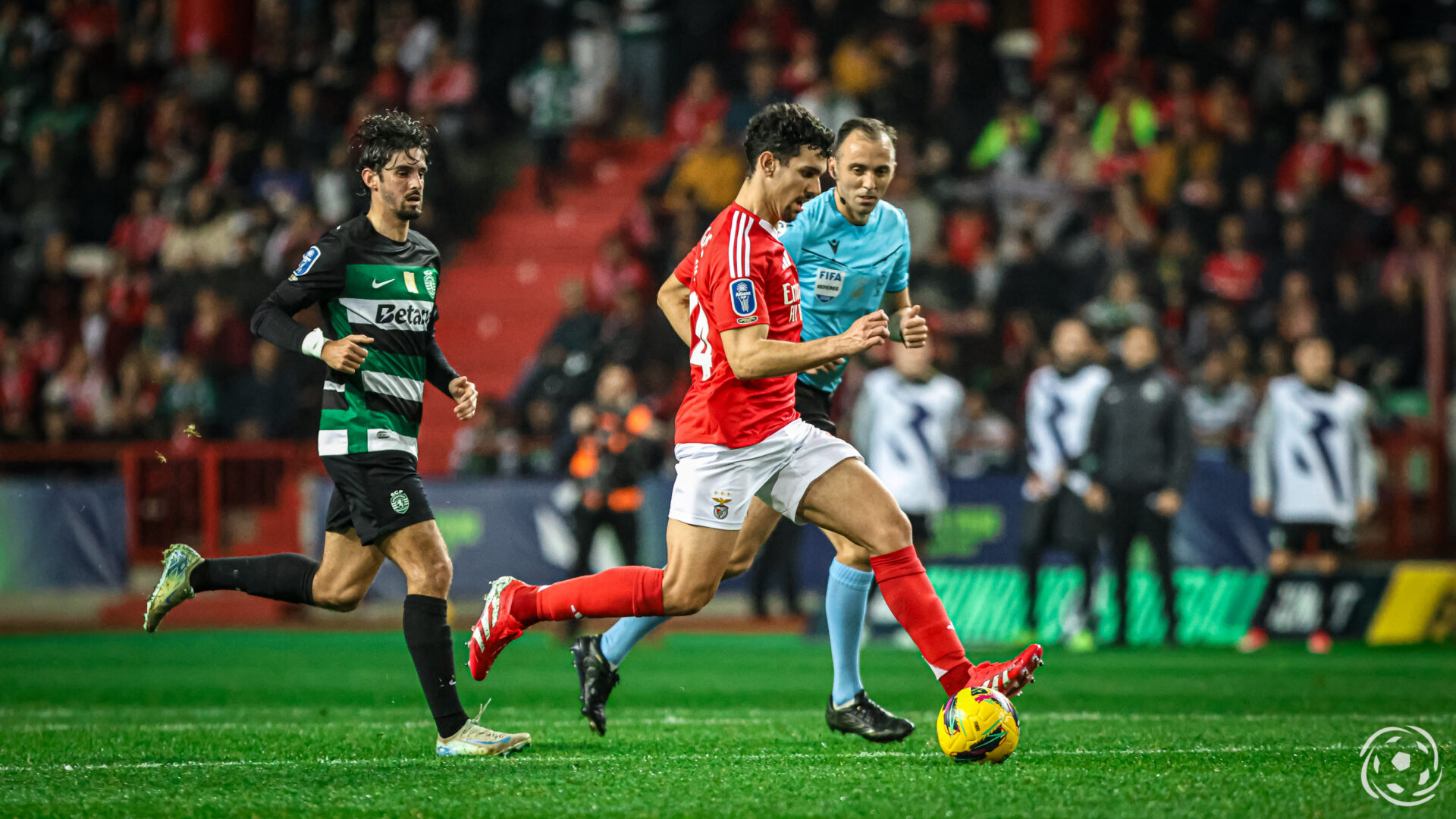 Tomás Araújo Benfica