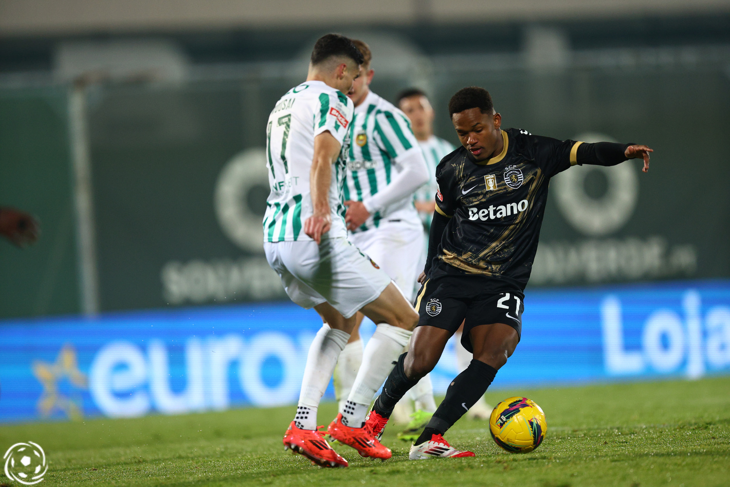 Geny Catamo Sporting