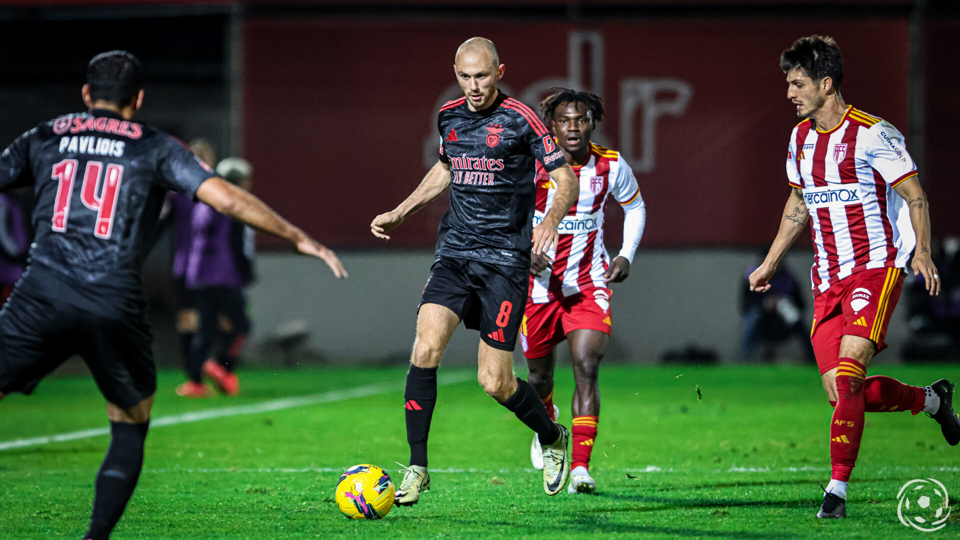 Fredrik Aursnes Benfica AVS SAD