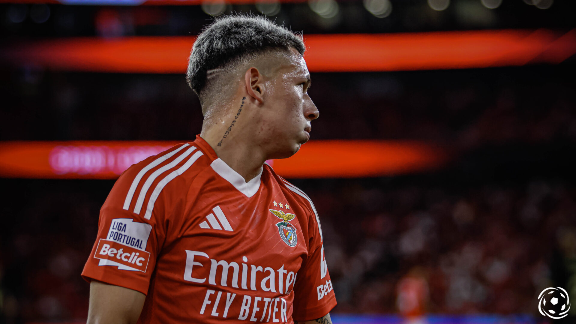 Gianluca Prestianni no jogo entre o Benfica e o Estrela da Amadora