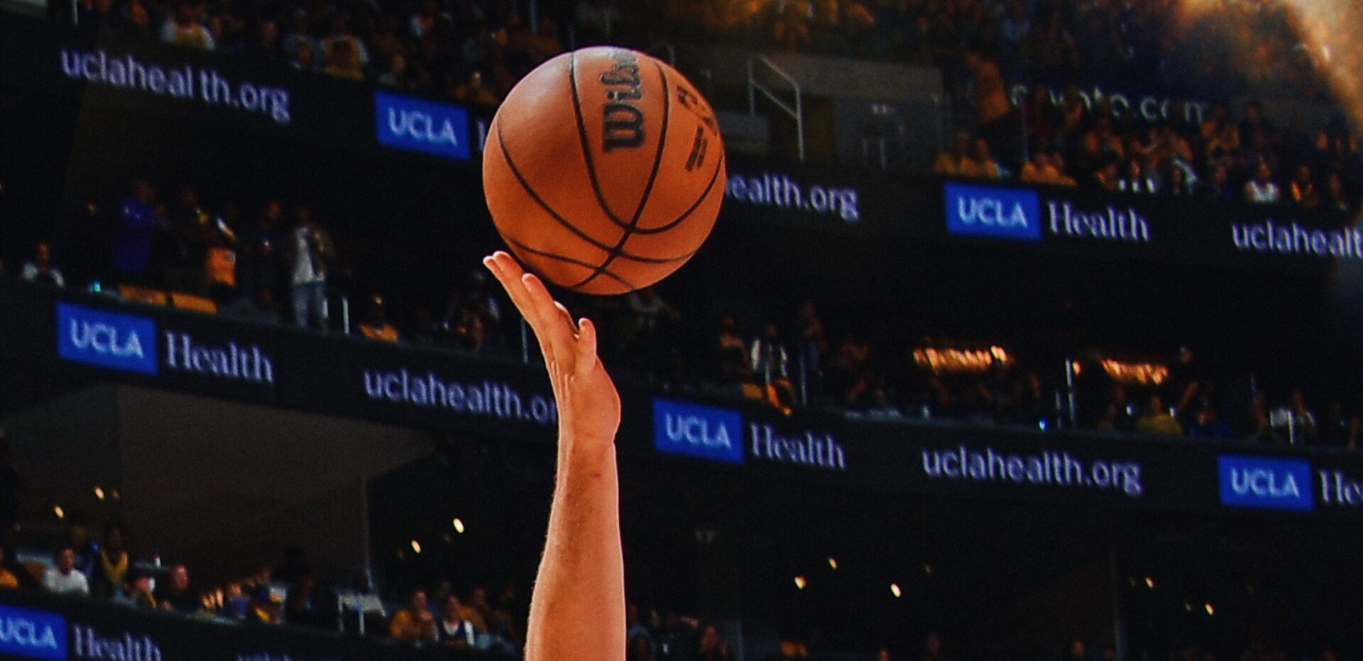 Bola Wilson NBA