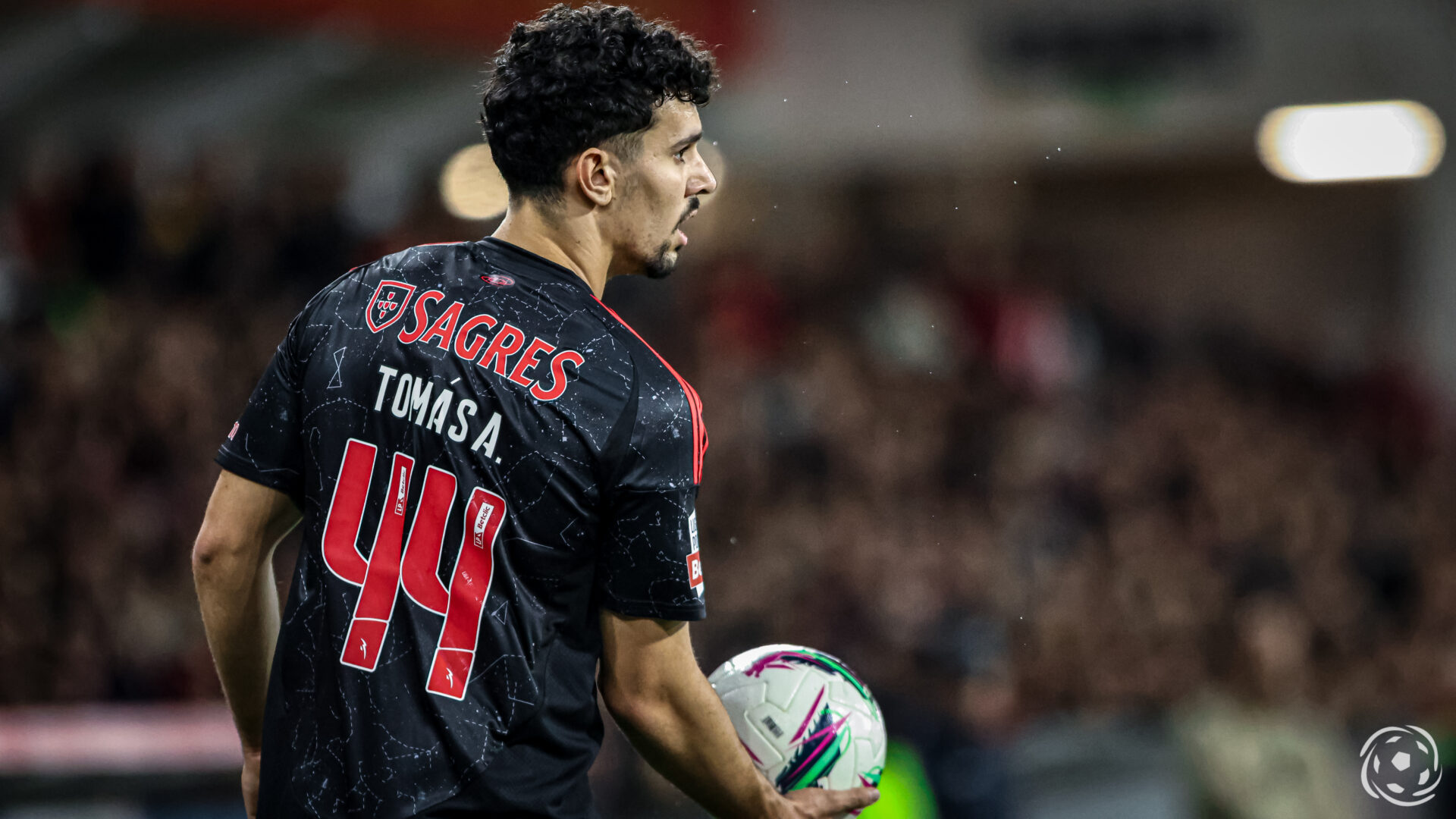Tomás Araújo Benfica