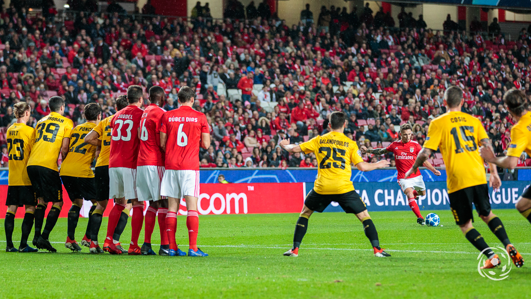Grimaldo Benfica