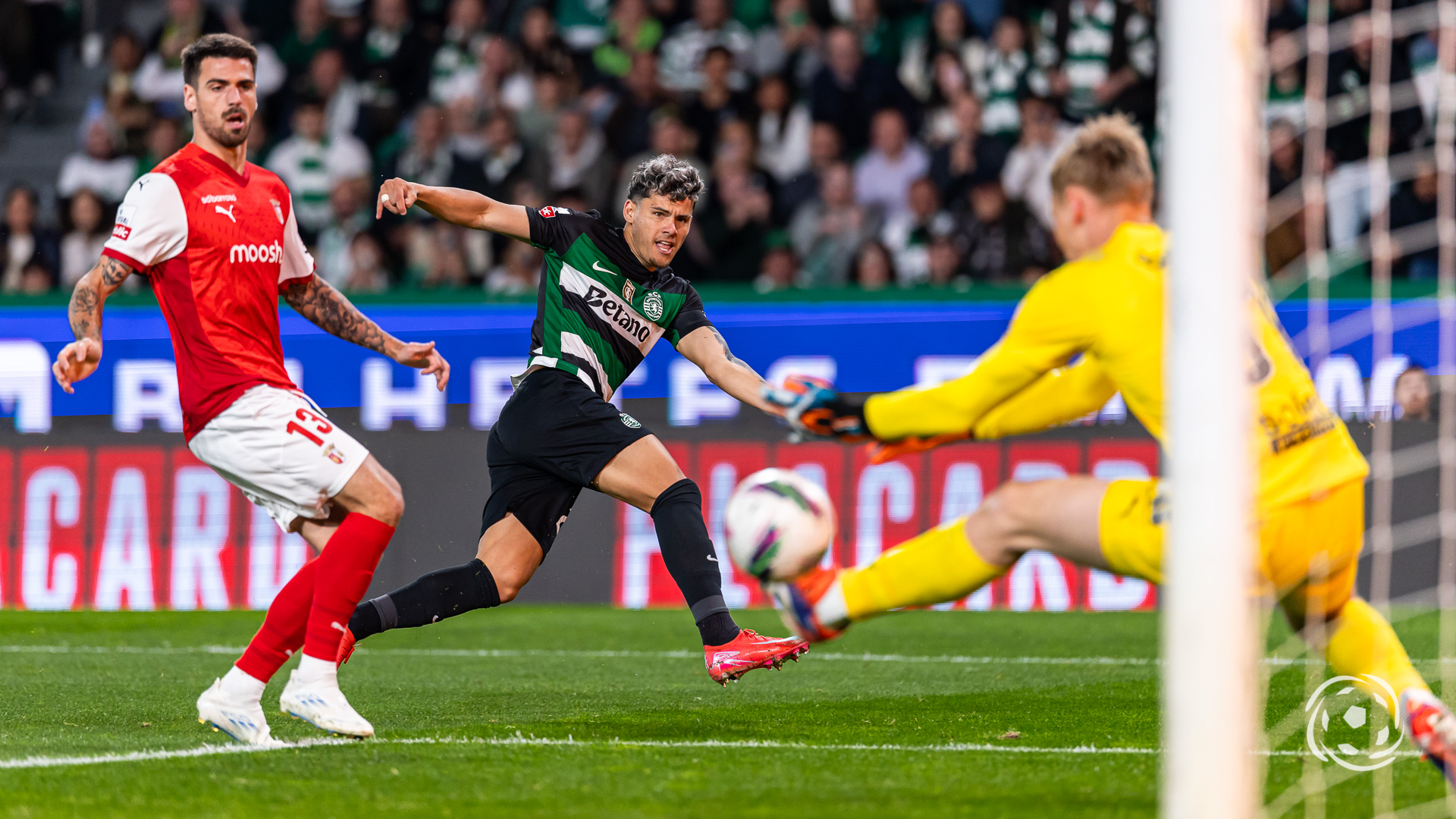 Maxi Araújo Sporting