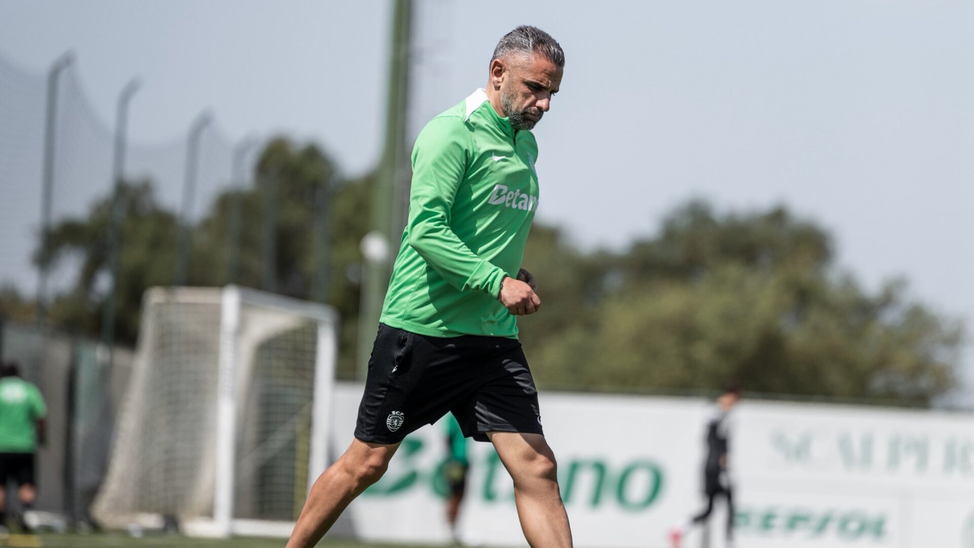 Rui Borges Sporting