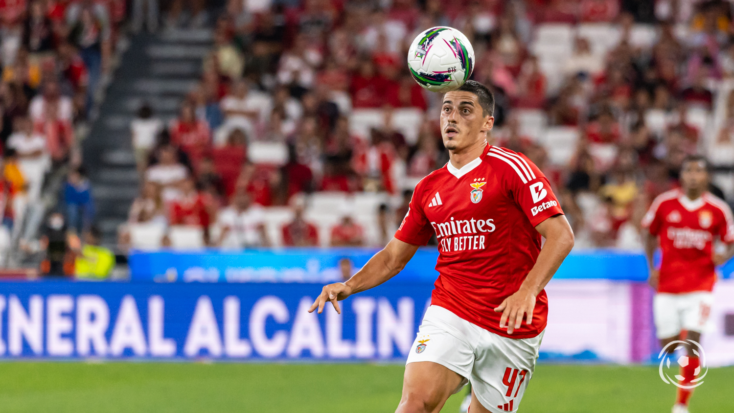 Tiago Gouveia Benfica