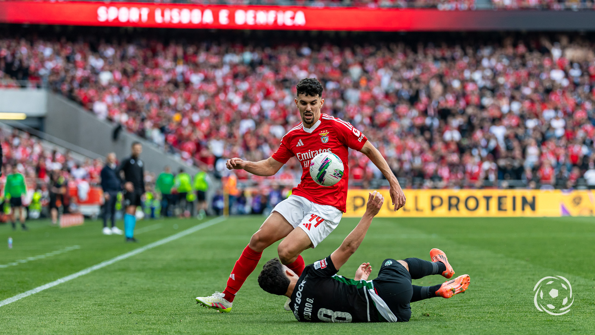 Tomás Araújo Benfica e Sporting