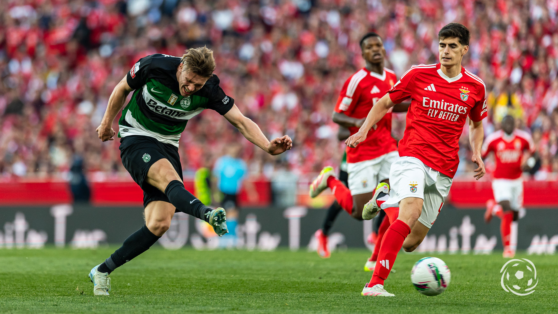 Viktor Gyokeres António Silva Sporting Benfica