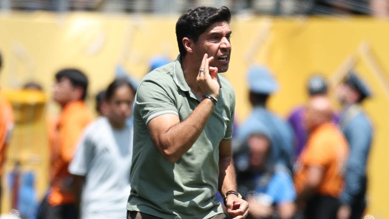 Abel Ferreira Palmeiras
