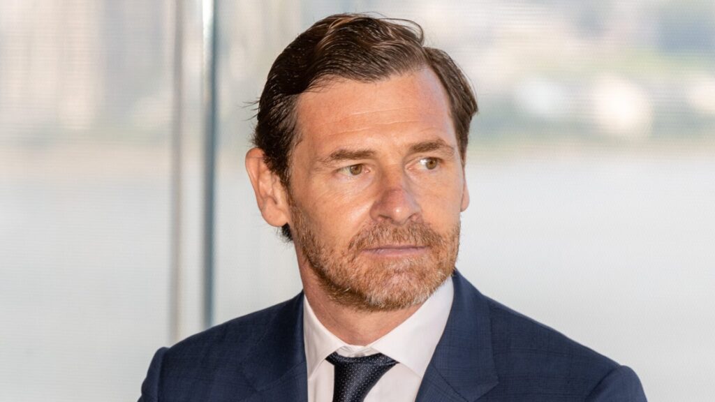 André Villas-Boas FC Porto