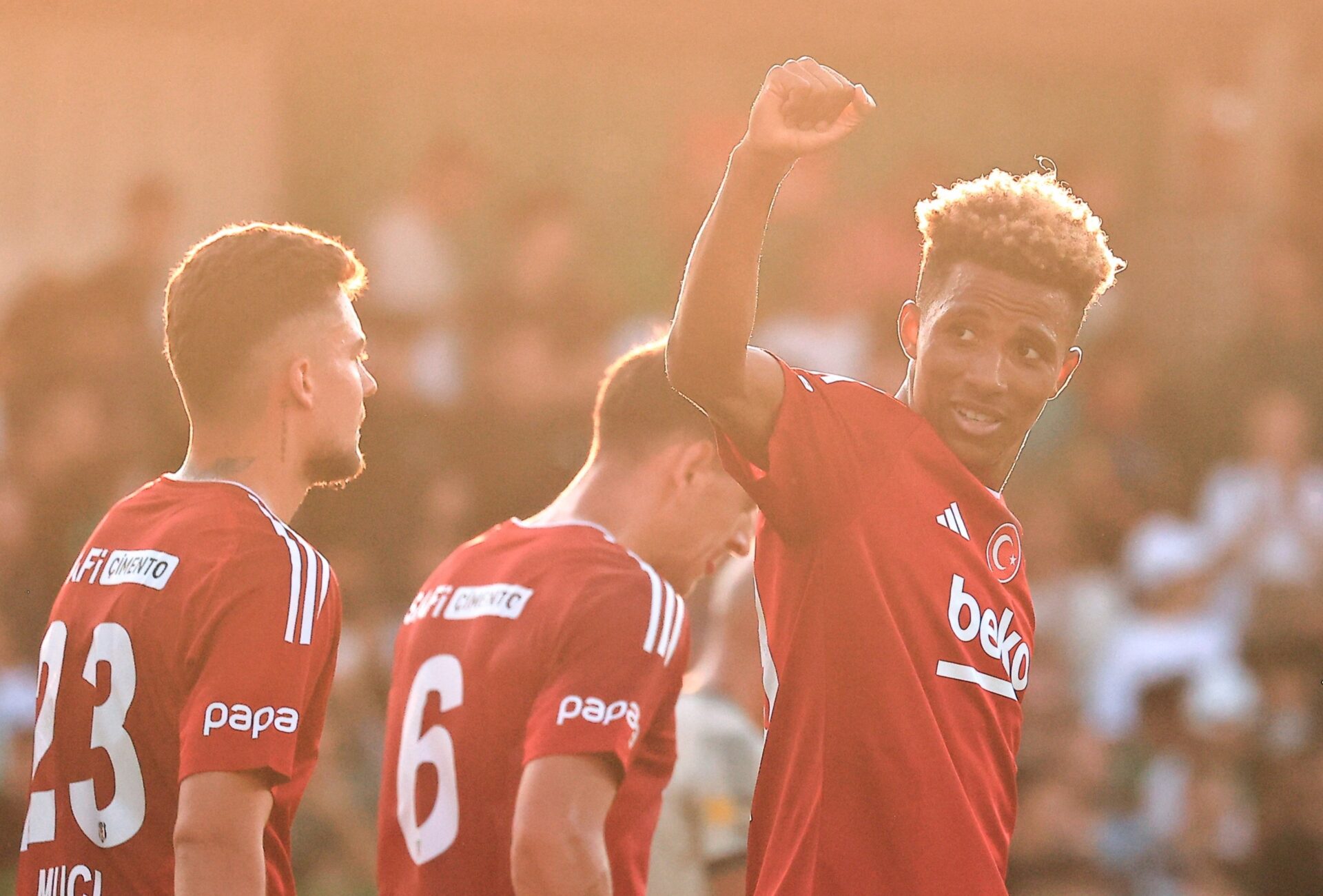 Gedson Fernandes Besiktas