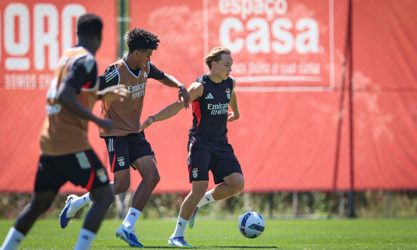 Andreas Schjelderup Benfica