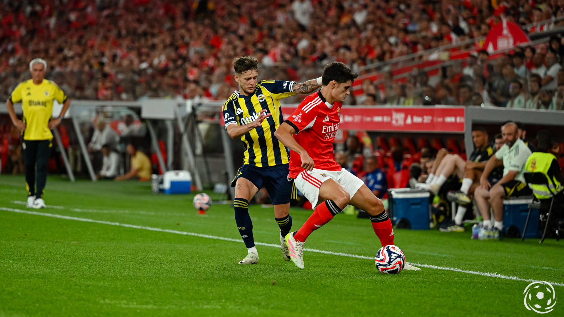 António Silva Sebastian Szymanski Benfica Fenerbahçe