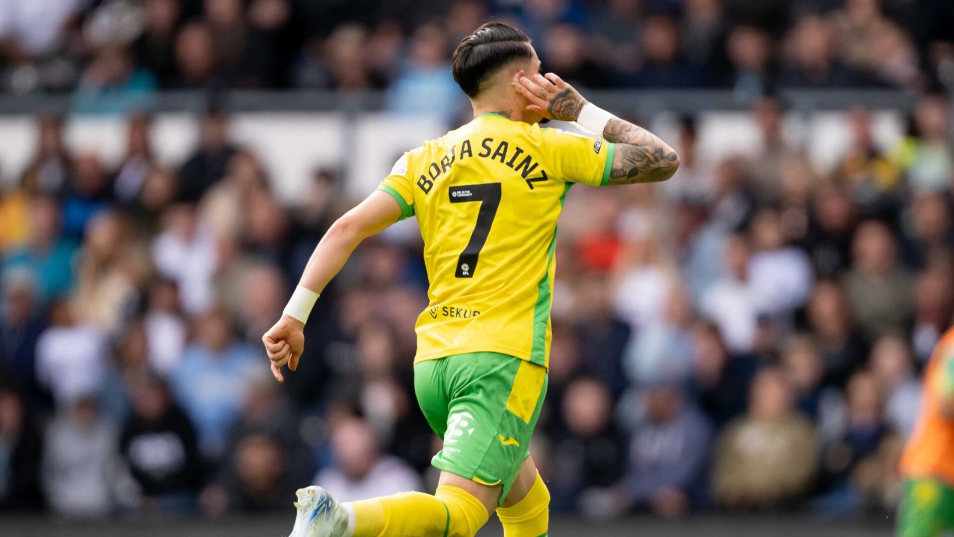 Borja Sainz Norwich City