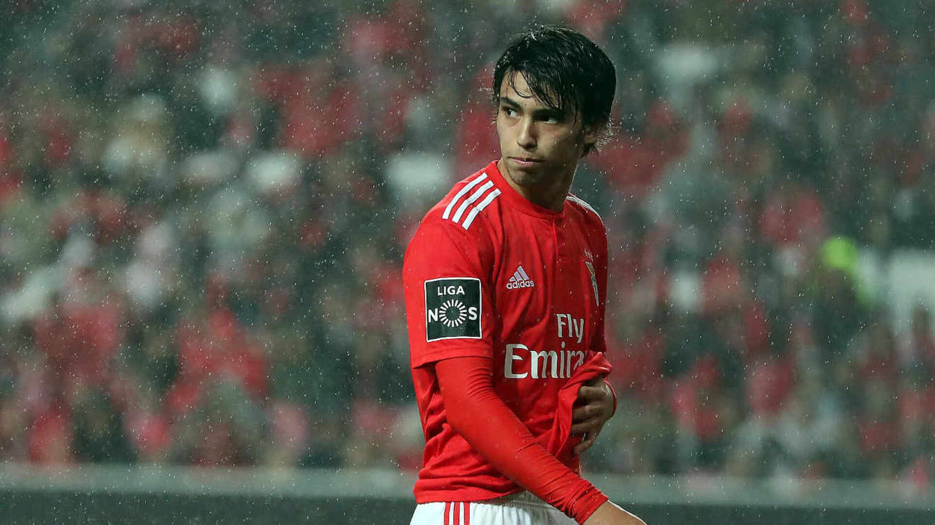 João Félix Benfica