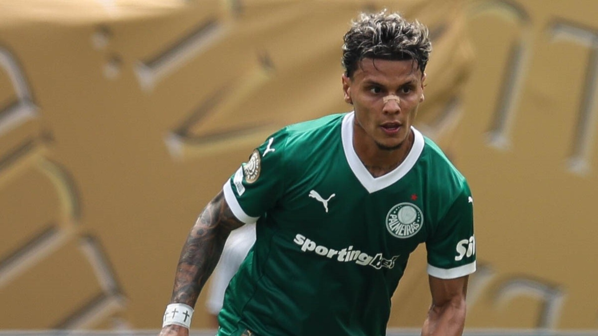 Richard Ríos Palmeiras