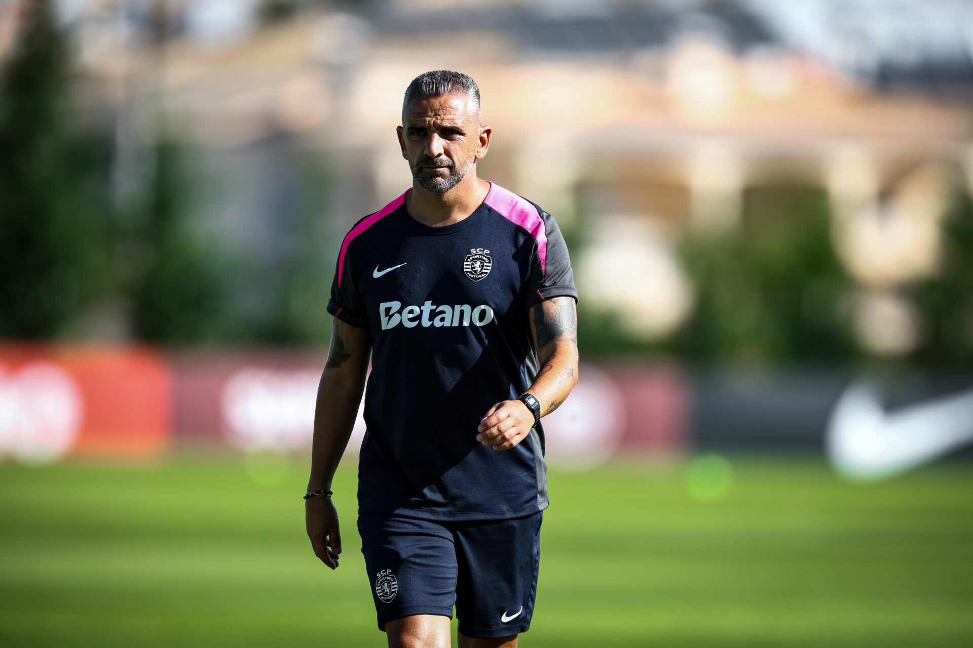 Rui Borges Sporting