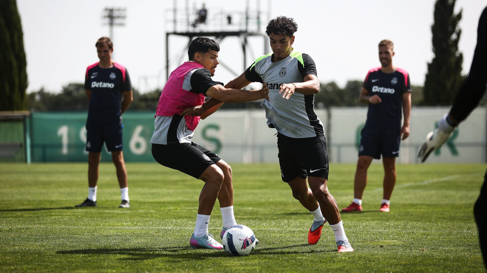 Sporting