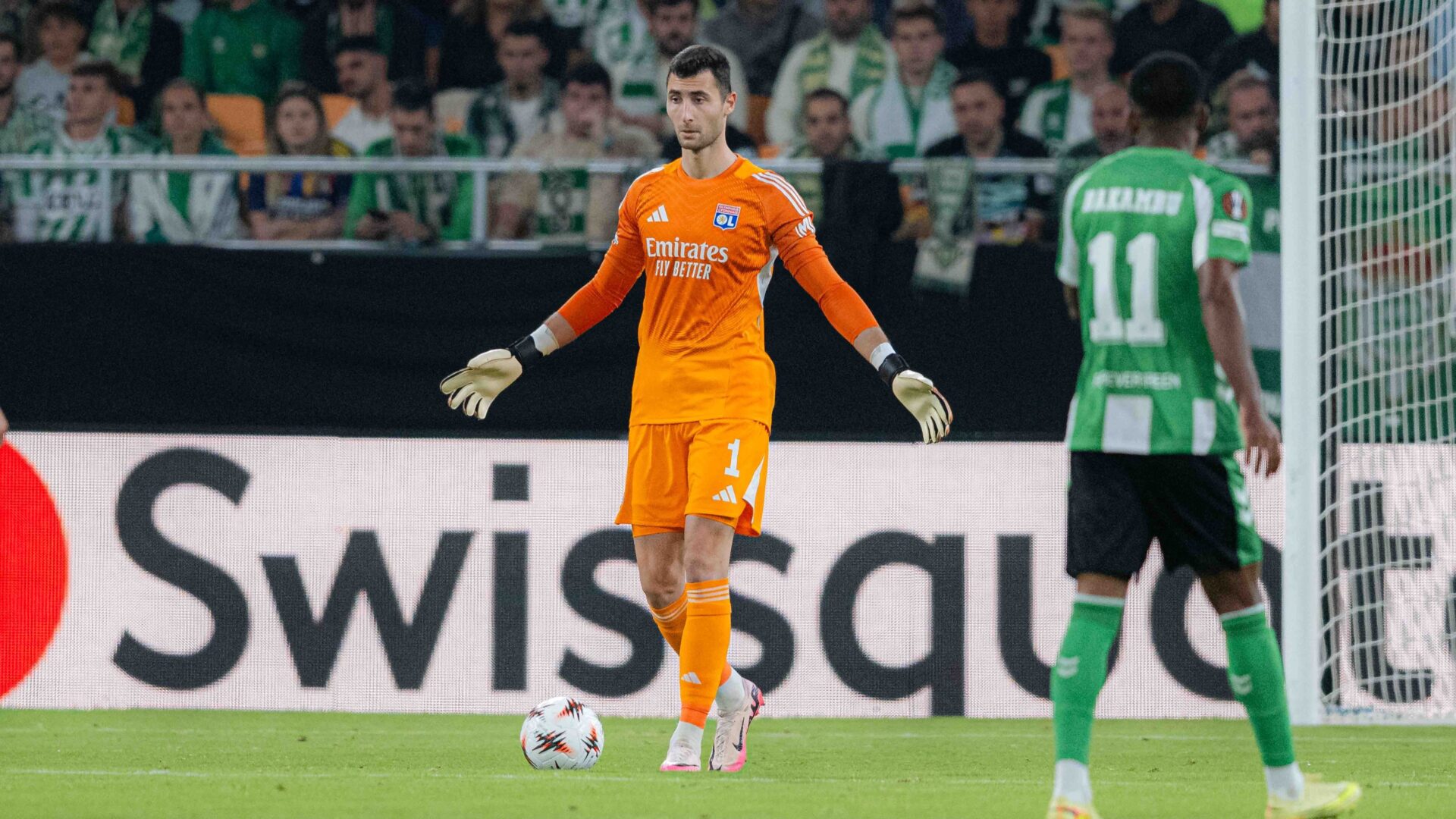 Dominik Greif Dominik Greif