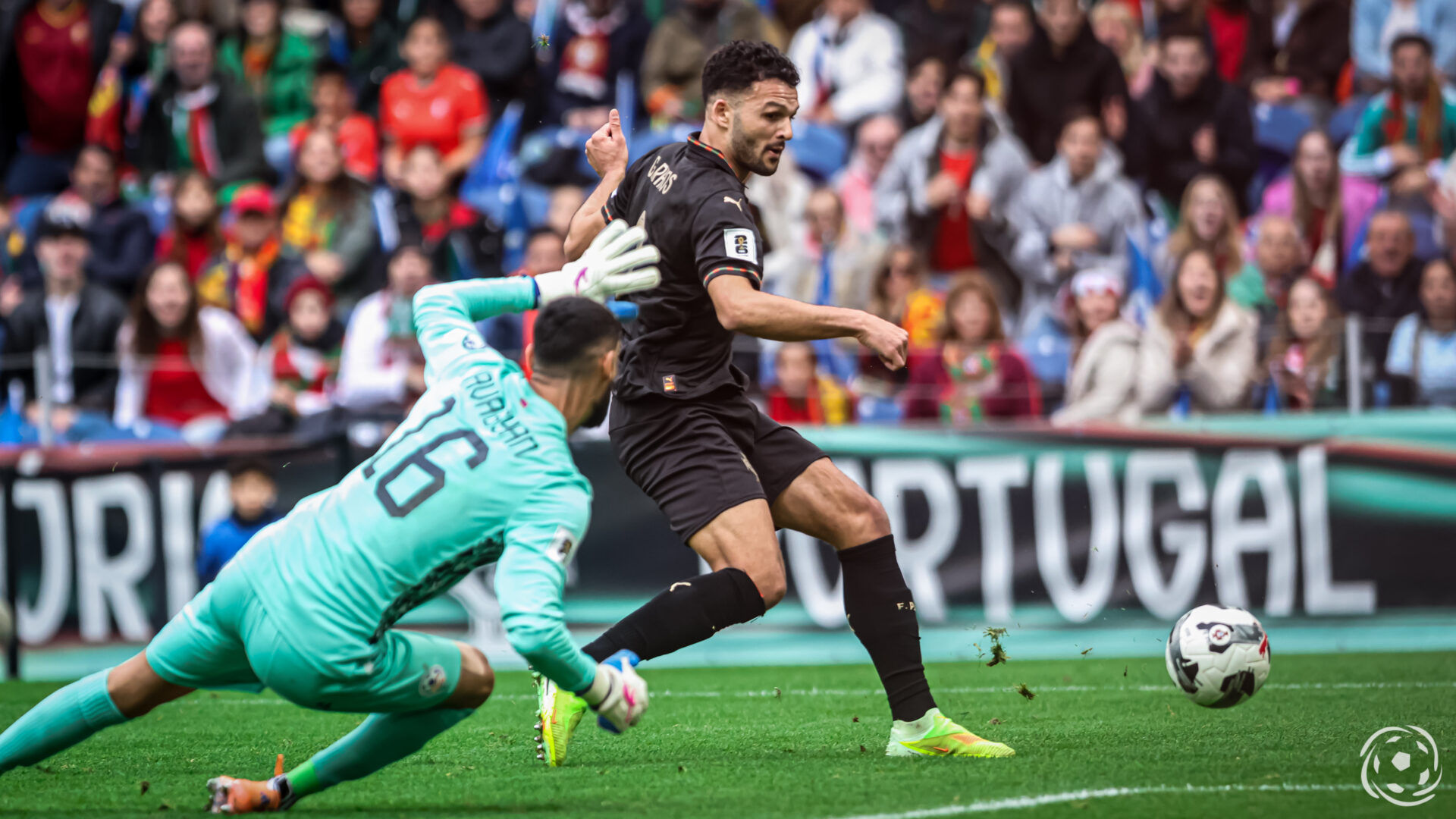 Gonçalo Ramos Portugal Gonçalo Ramos Portugal