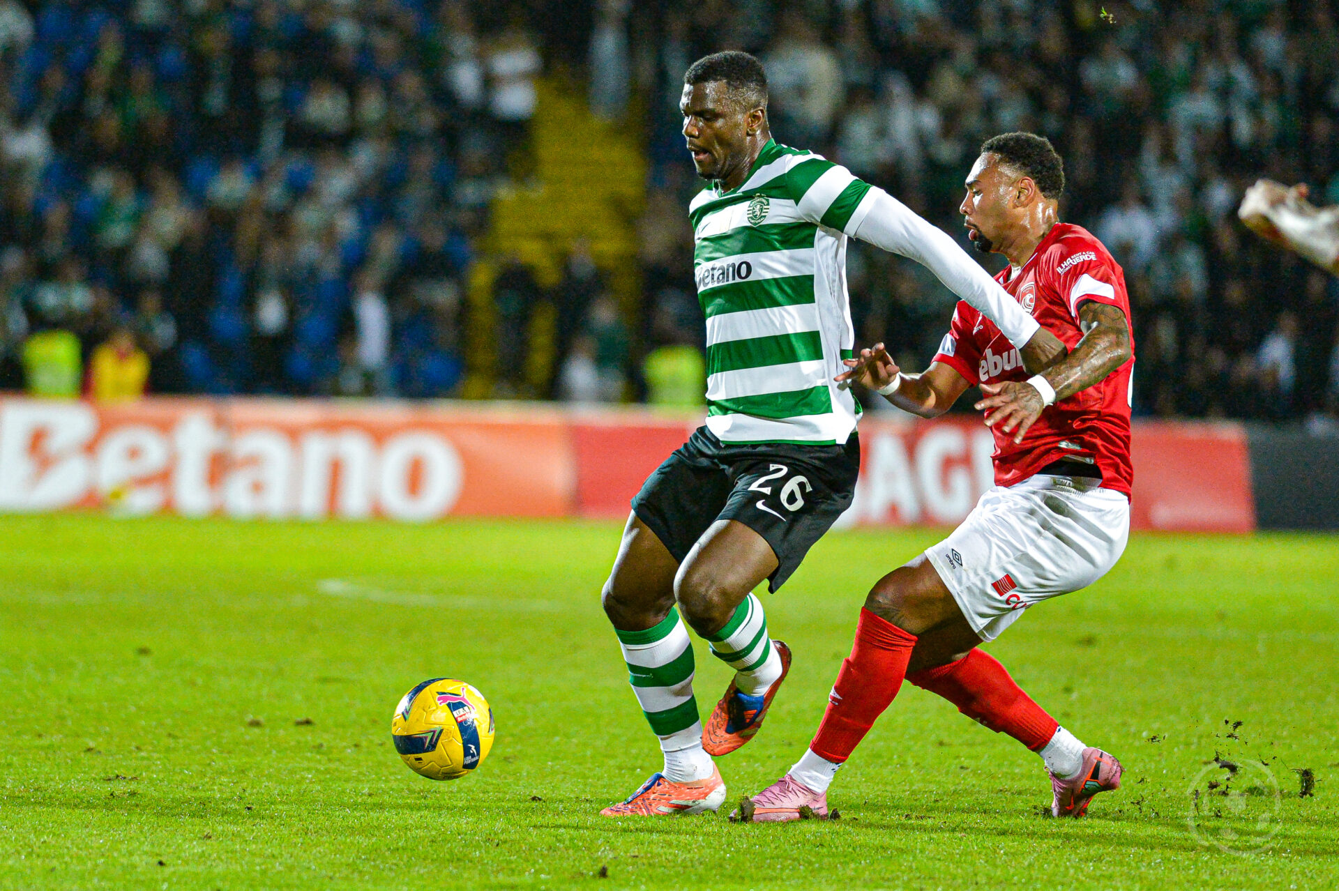 Ousmane Diomande Sporting